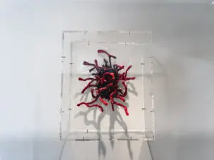 coral sculpture