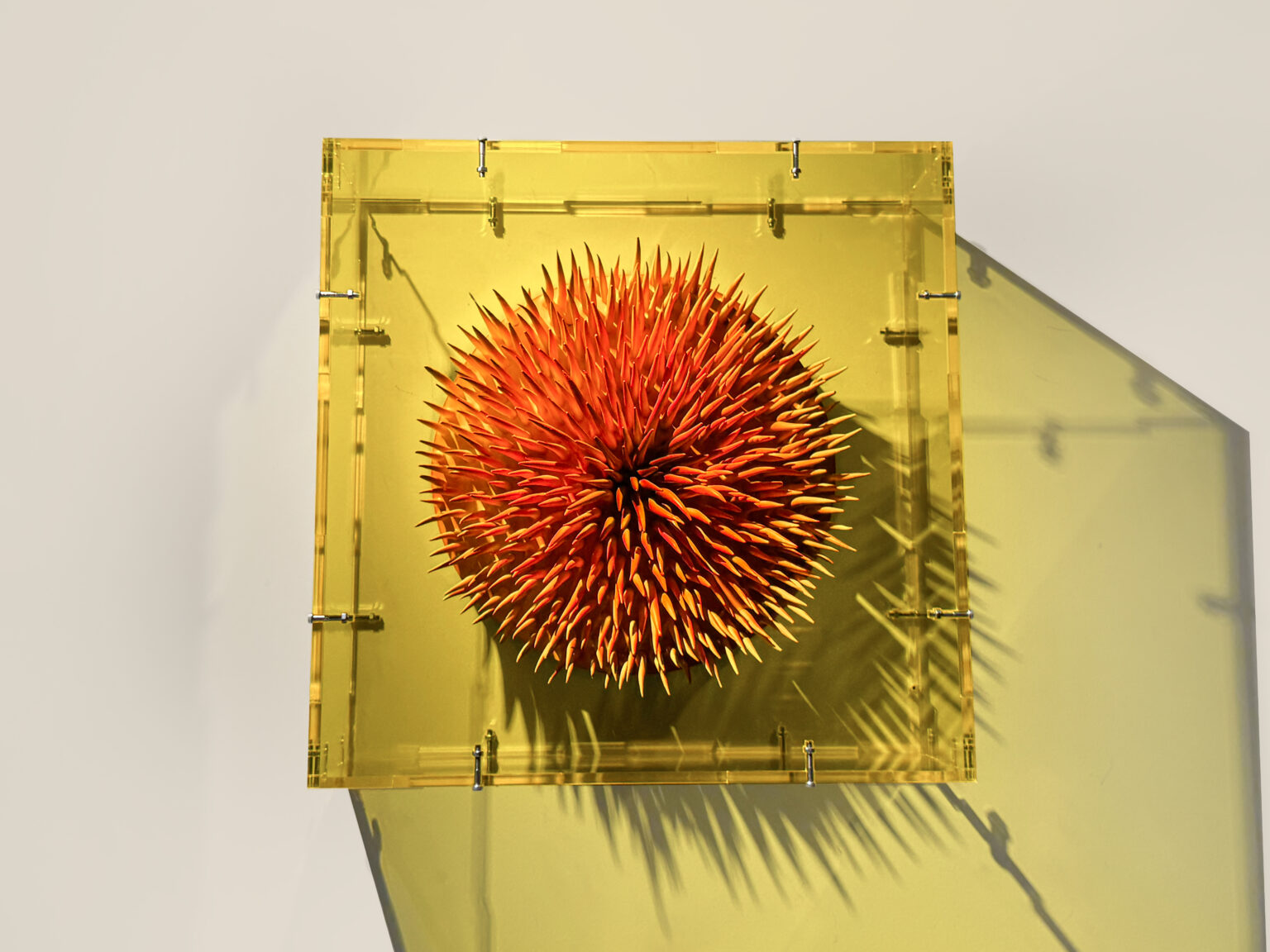 FlaryFlower